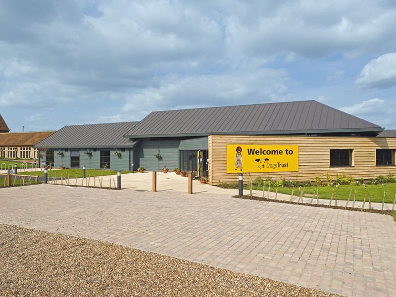 Roden dogs store trust rehoming centre